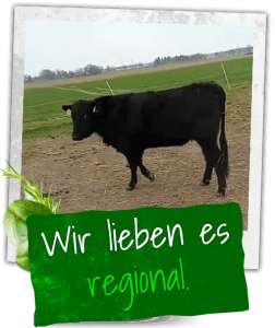 Weiderinder aus dem Wendland